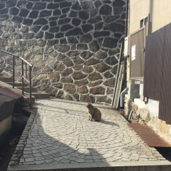 【広島・尾道】初心者向けのiPhoneアプリ開発講座を3月21日〜22日に開催します！