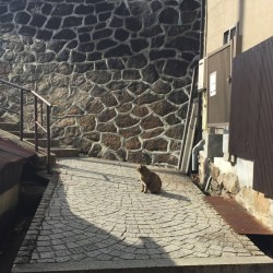 【広島・尾道】初心者向けのiPhoneアプリ開発講座を6月6日〜7日に開催します！