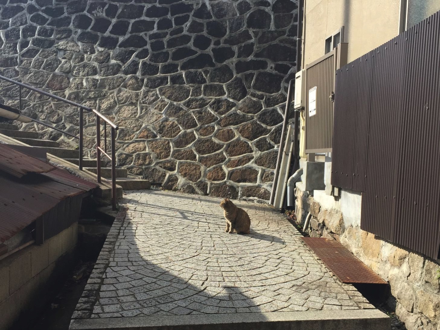 20150322-153659.jpg