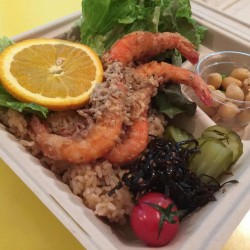 dote cafe（蒲田）のガーリックシュリンプをCOMMUNE 246（表参道）で食す！