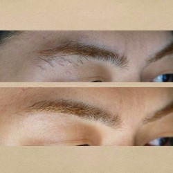 【メンズ】アナスタシアのサロンで眉の形を整えてもらった 8回目