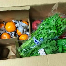 「季節の野菜を直接配送！季節のスムージー」を買ってみた